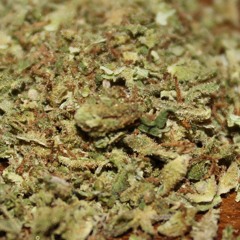 Bubba Pyol