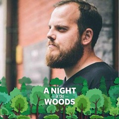 A Night in the Woods