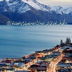 Abd Elrahman Tarek