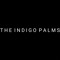 theindigopalms