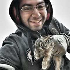 Luciano D'Alessandra