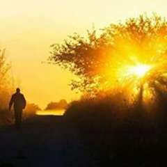 hesham