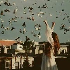 Norhan Ayman