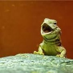 SuspiciousLizard