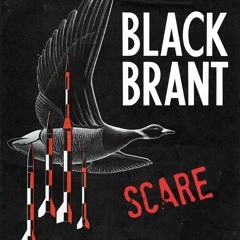 Black Brant Scare