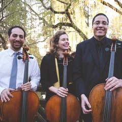 Rockstop Cello Quartet