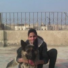 Sife Zezo