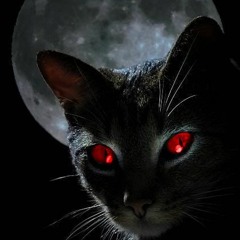 blackcat