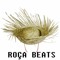 Roça Beats