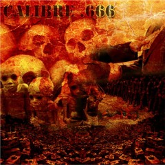 Calibre 666