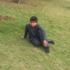 Talha Ali