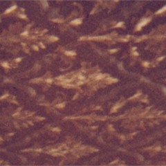 The Planet Earth Allstars Band