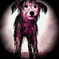 dirtythedog