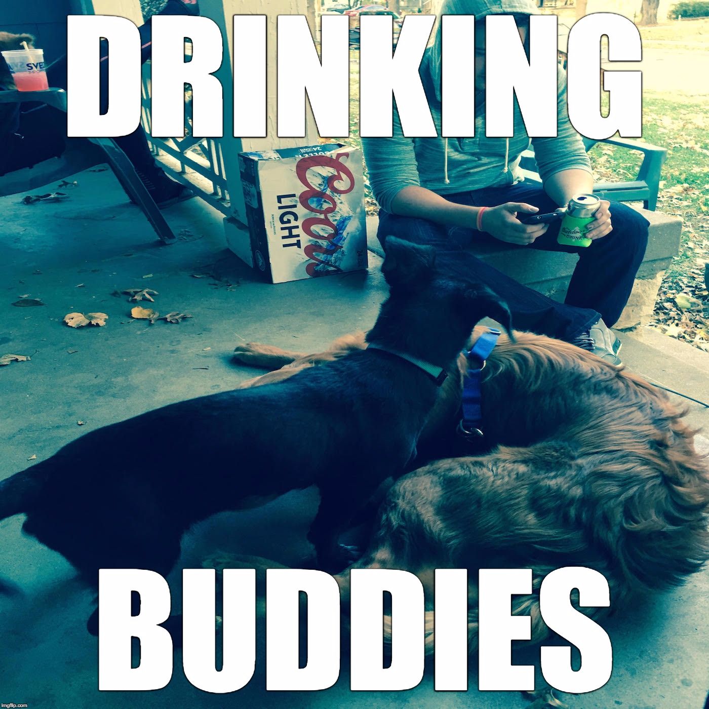 Drinking Buddies KC