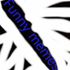 User 799467241