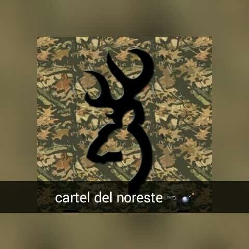 Cartel Del Noreste’s avatar