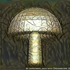 Shroomanic