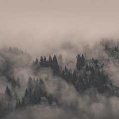 userflow