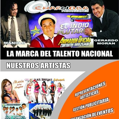 TODO TERMINO LOS PONNYS