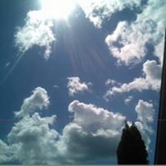 Arethia Millsap-Whiteside