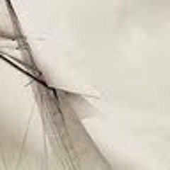 user191259525