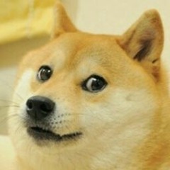SoDogeWow