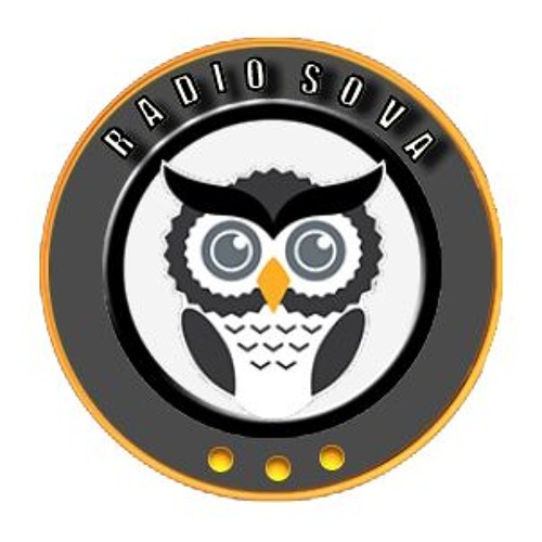 Радиостанция сова сахалин. Диско радио сова. Sova. Диско радио сова. Филин radio.