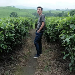 Hidayat Juni