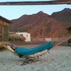 Amr Mortagy Konsoh