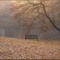 November Beats