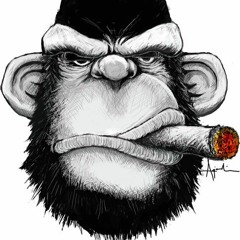 MonkeyBvrs