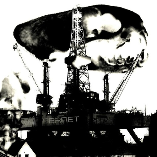 Industrial Ferret’s avatar