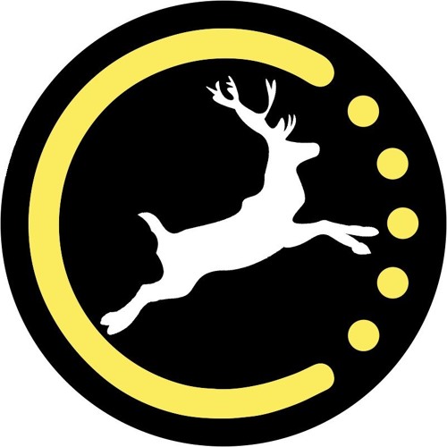 Reindeer Music Records’s avatar