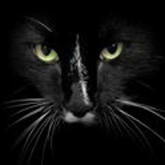 _tnhut955_ltt