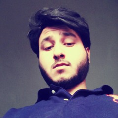 زین علی وارث