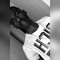 Dou Guy