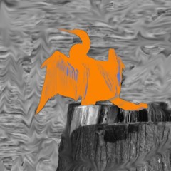 The Cormorant Project