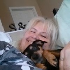 Tracy Sheriff Webster