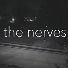 The Nerves