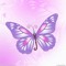 RobinAlmaguer