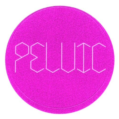 SoundCloud profile picture for @pelvic