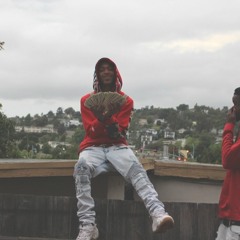 sir_flocka