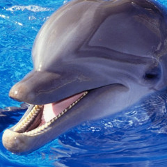 ルーチャンネル瑠奈