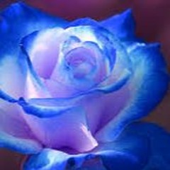 BlueRose
