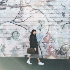 vnssmdl