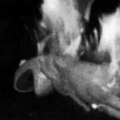 SONGS/FROM/THE/FRAGMENT