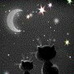 soundsmeow