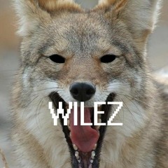 Wilez