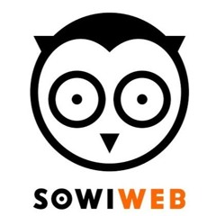 SowiWeb Owl You powietrza