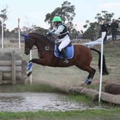 Kim Coe Cross